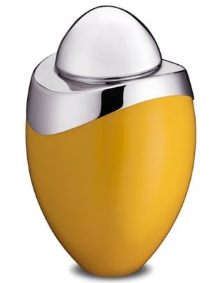 Amore Standard Adult Urn Yellow & Polished Silver