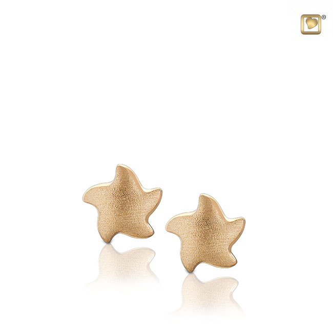 Angelic Star Stud Earrings Brushed Gold Vermeil