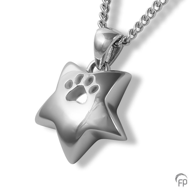 Ash pendant pets