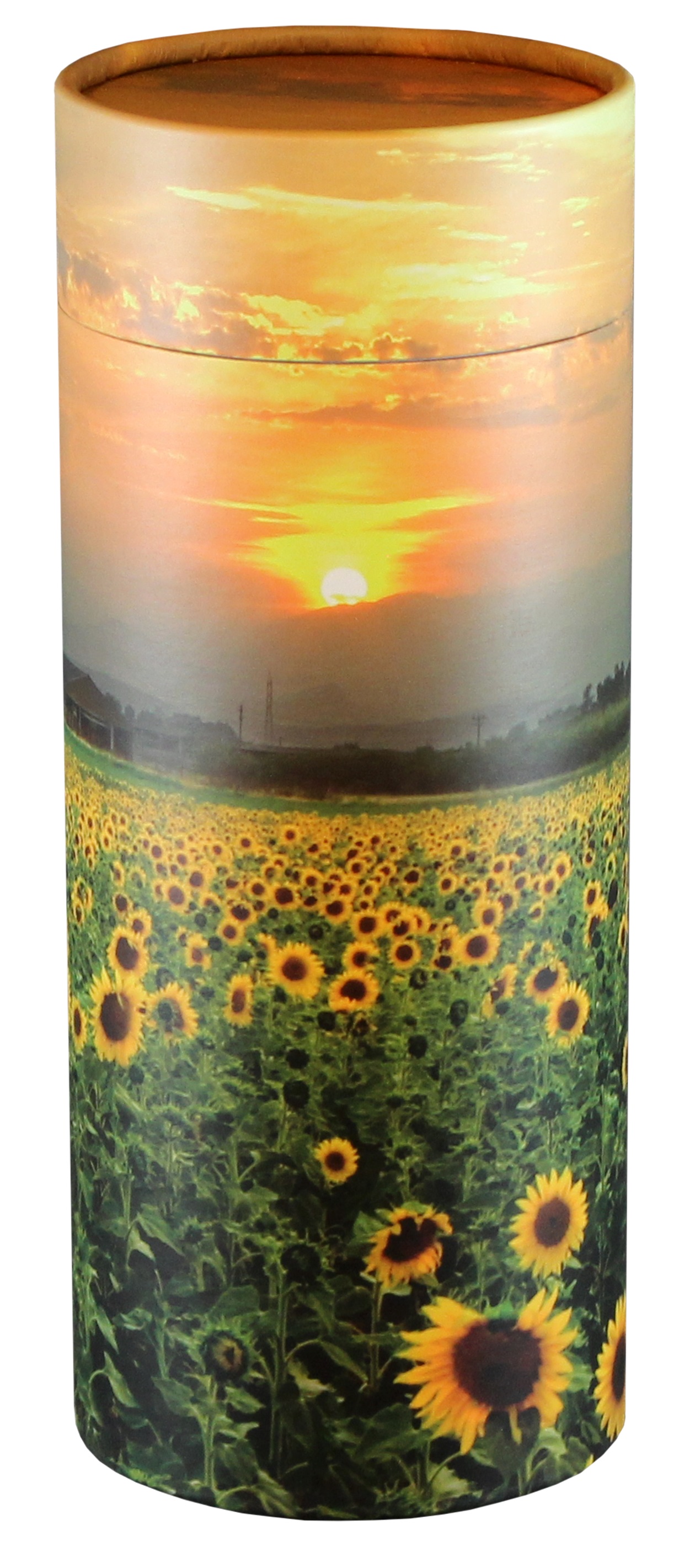 Sunflowers scatter tube