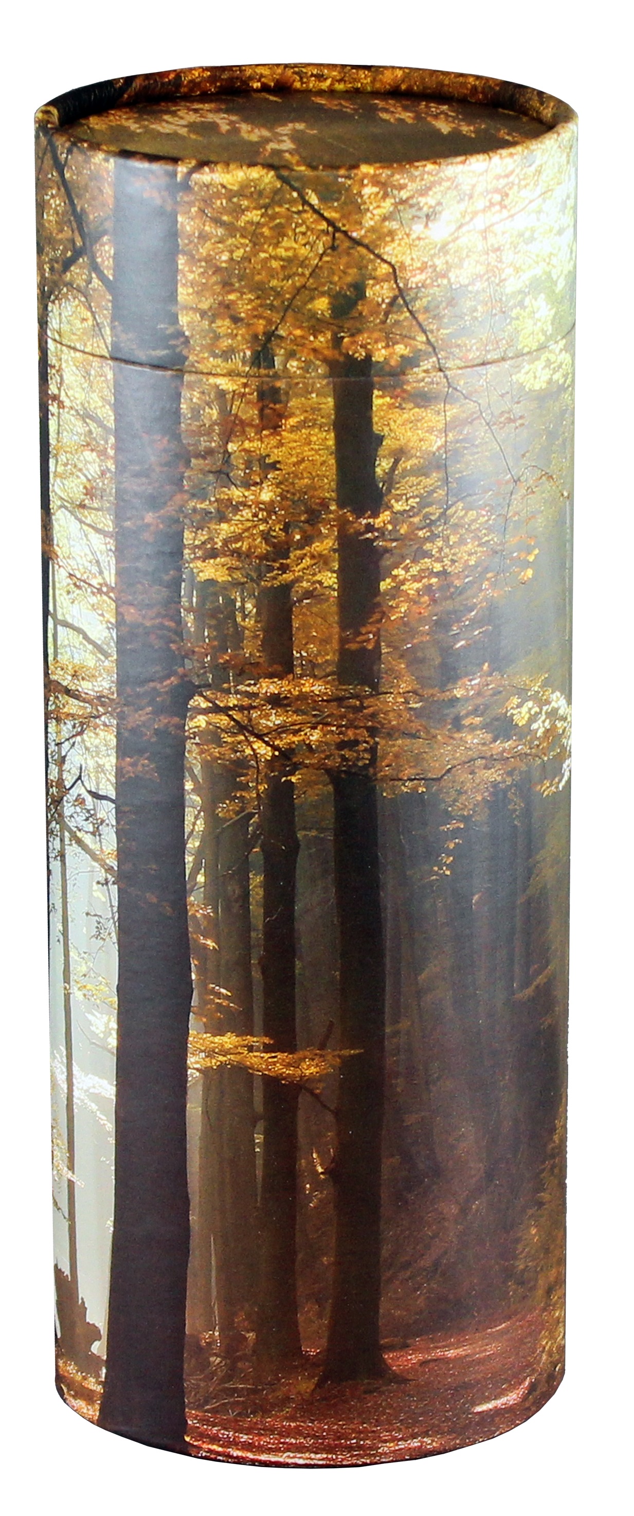 Autumn Wood scatter tube